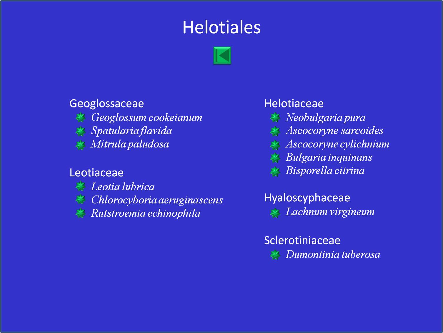 Liste des clavicipitaceae, hypocreaceae, glariaceae