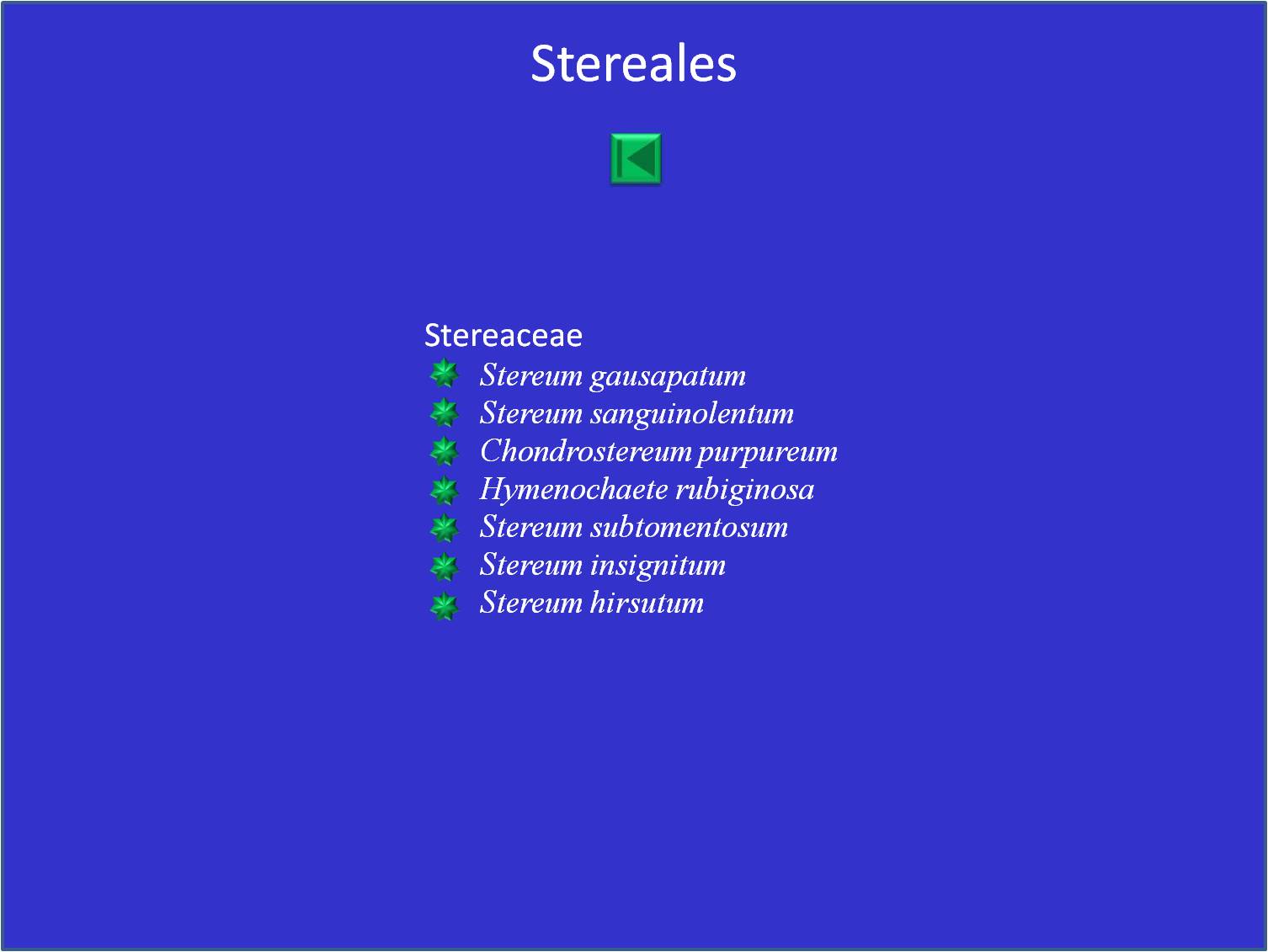 Tableau I - Planche 1: Liste des stereaceace