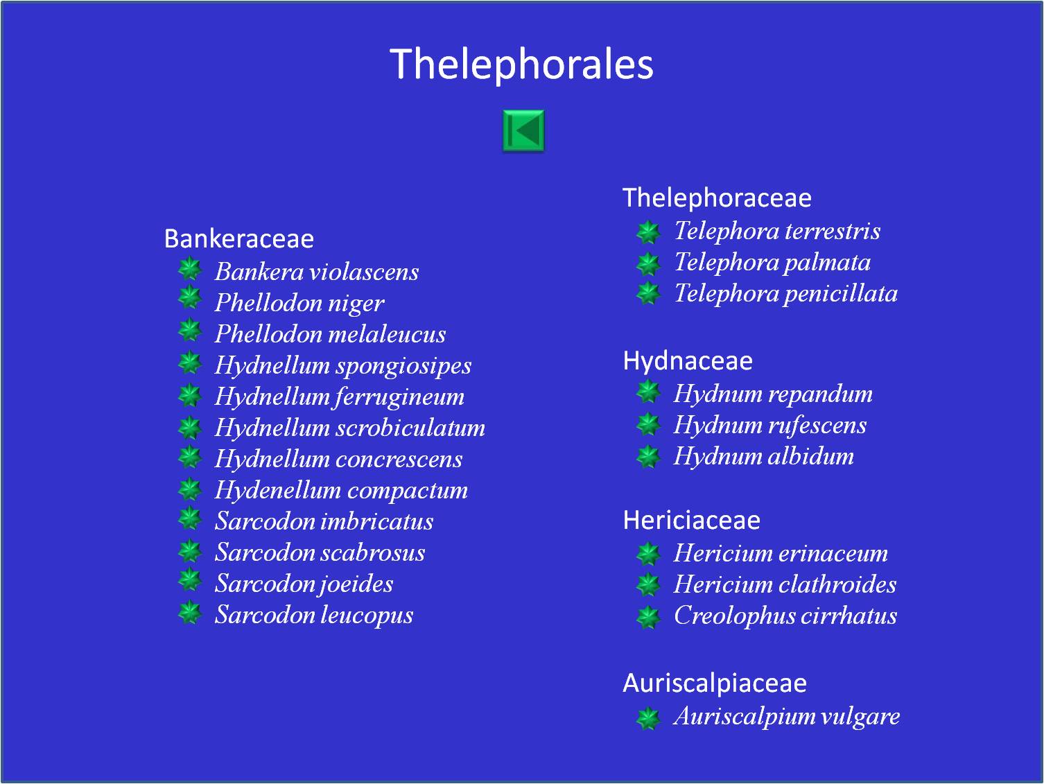 Liste des thelephoraceae, leotiaceae, geoglossaceae, helotiaceae, hyaloscyphaceae, sclerotiniaceae
