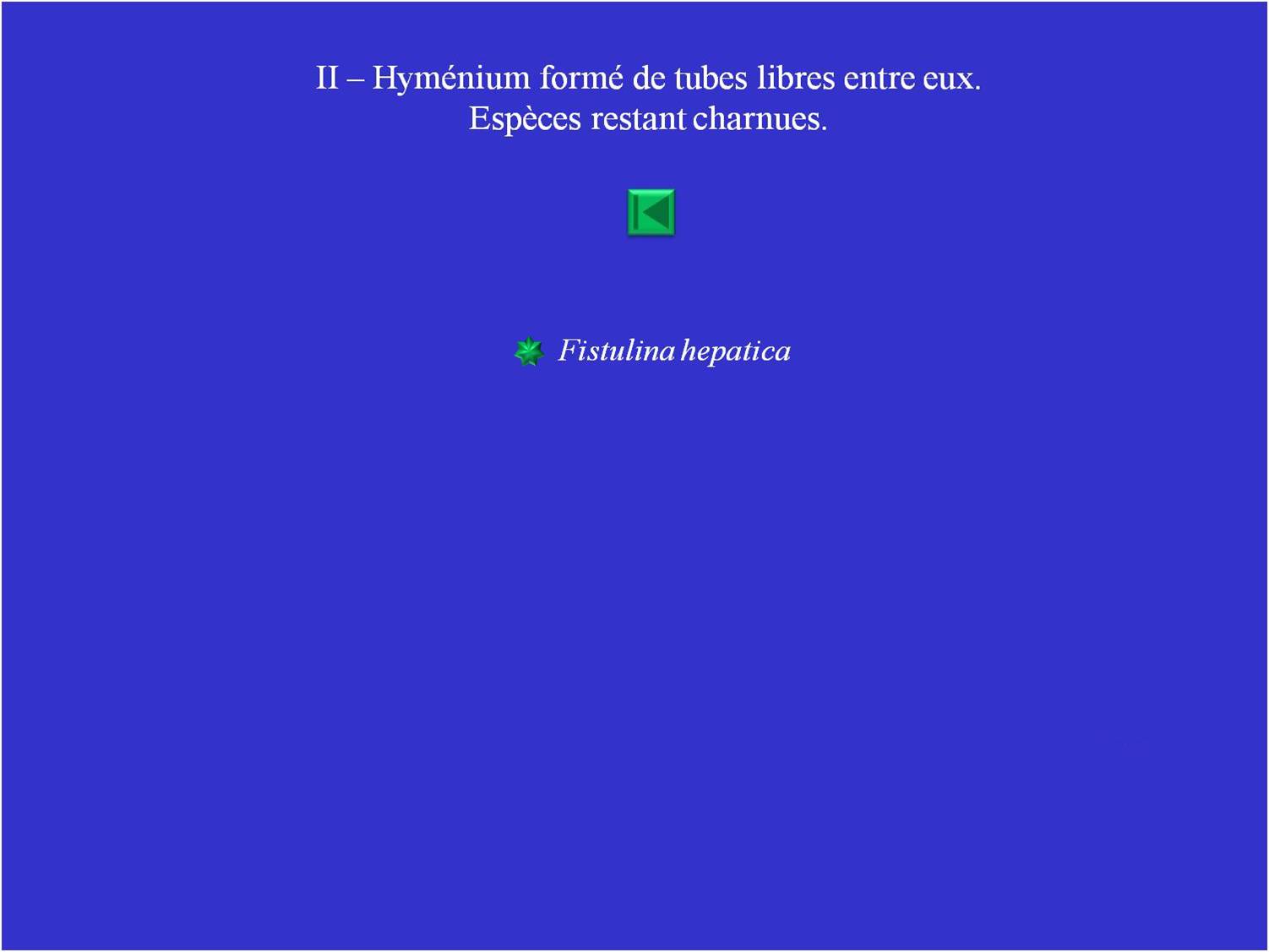 Tableau II - Liste II