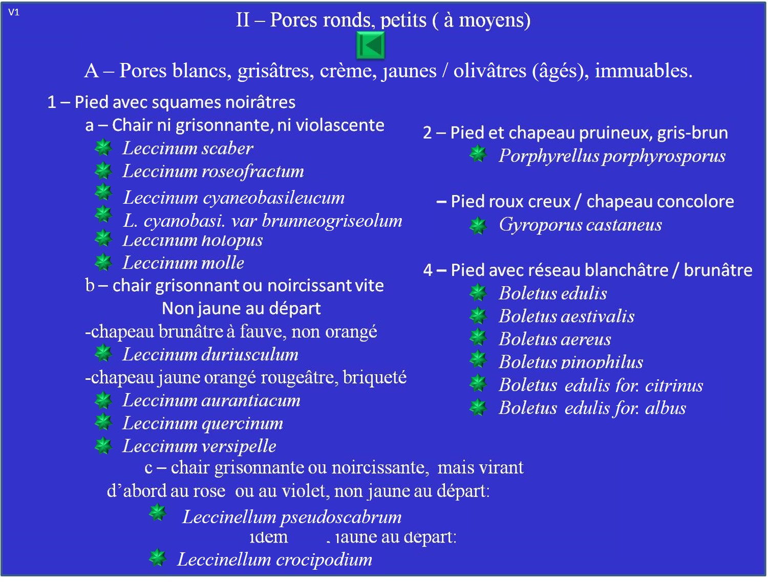 Liste II-a ; Leccinum, Porphyrellus, Gyrosporus et Boletus