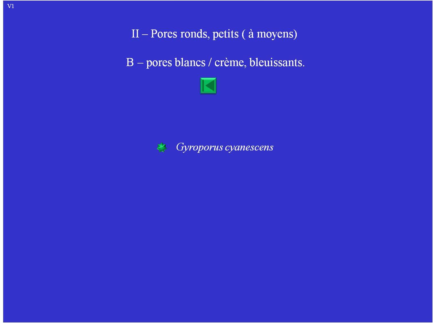Liste II-b ; Gyroporus cyanescenss