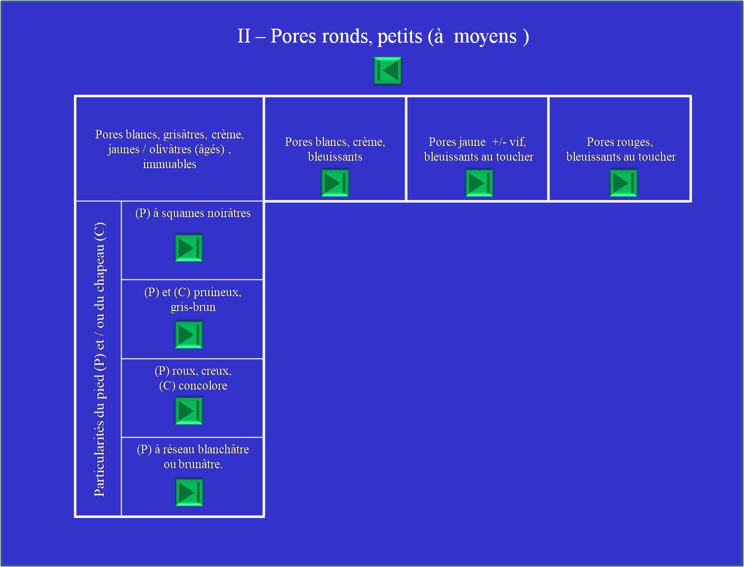 Tableau II: Bolets