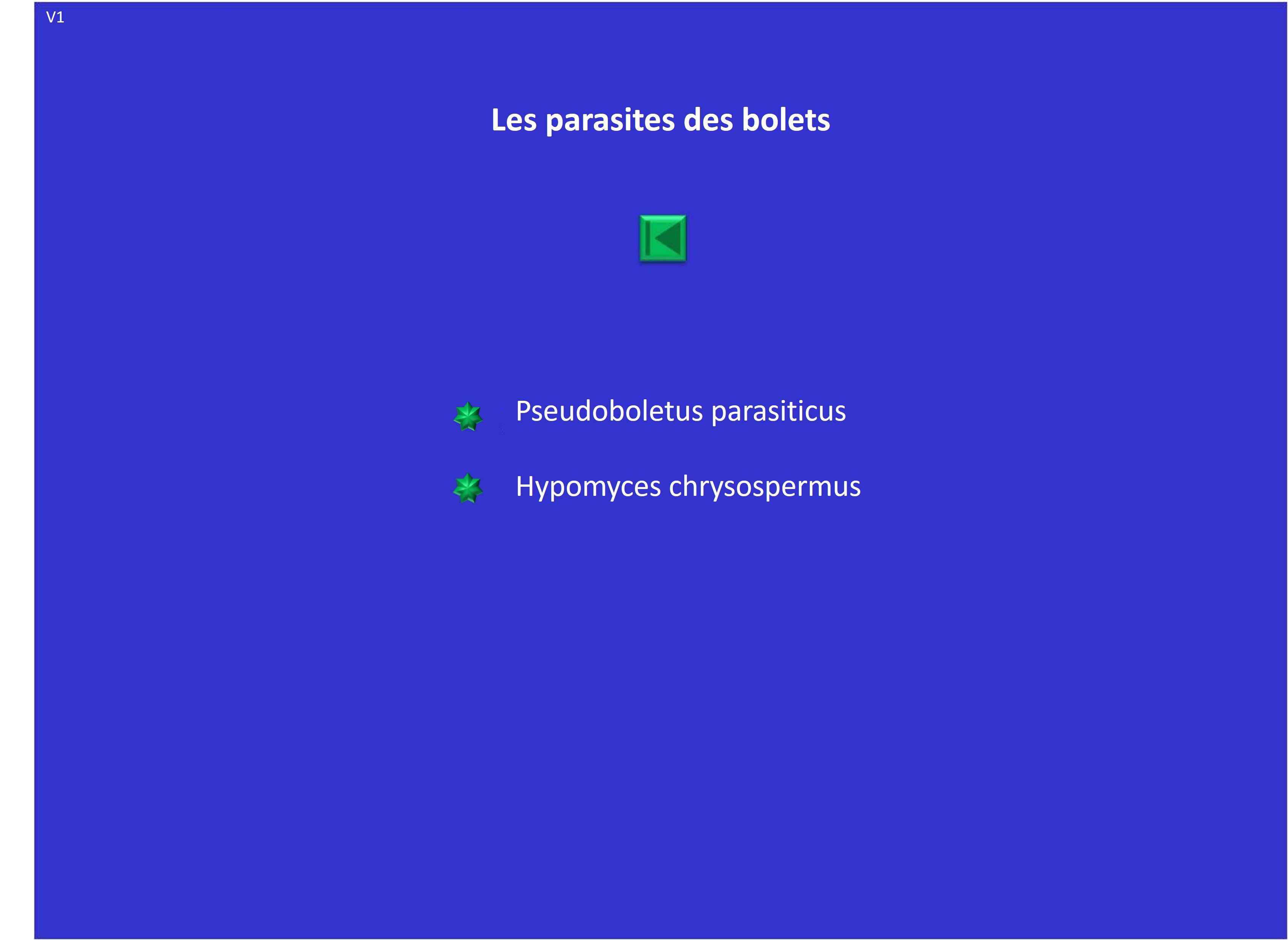 Planches des parasites