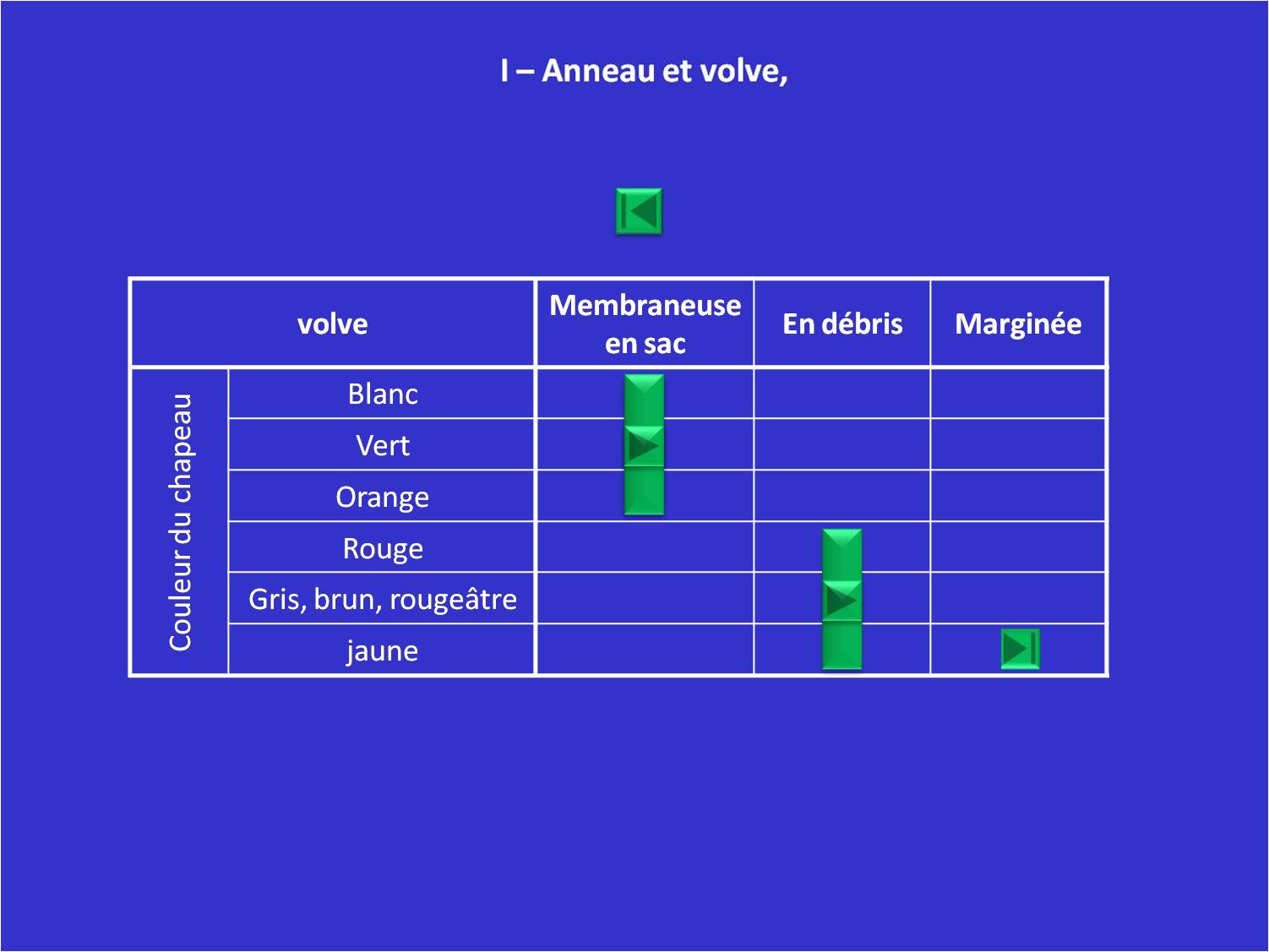Tableau VI : Amanites - Anneau et volve