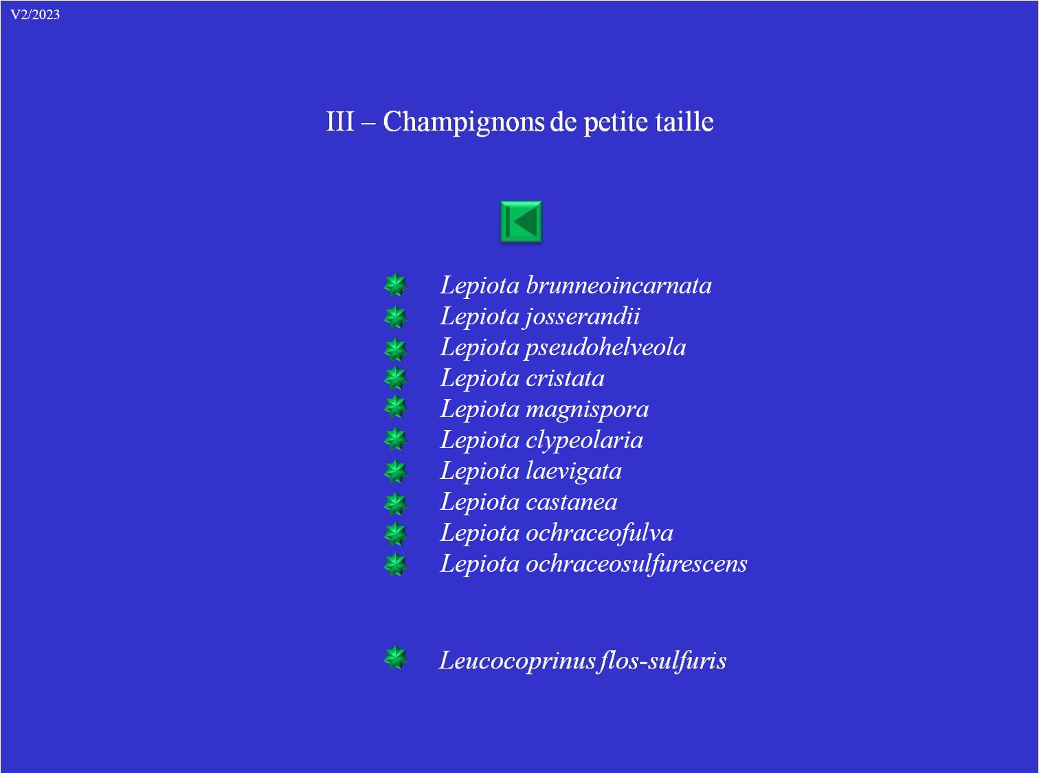 Lepiotes - Liste III: