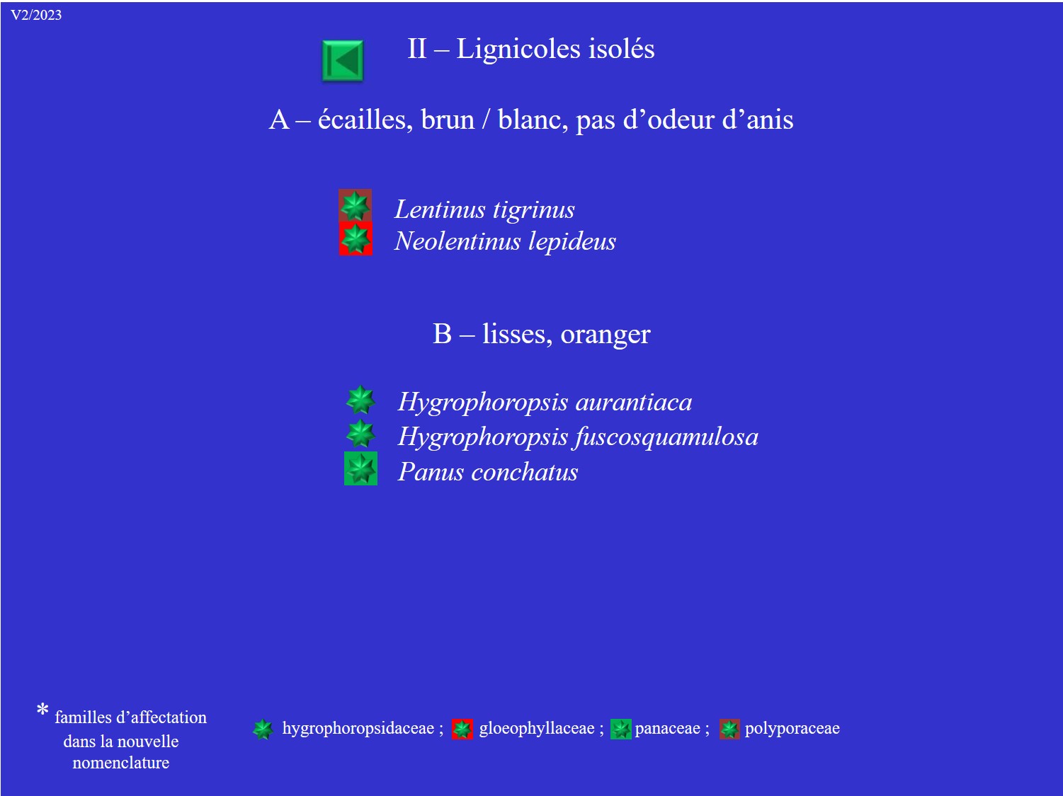 Tableau 8 _ lignicoles isolés