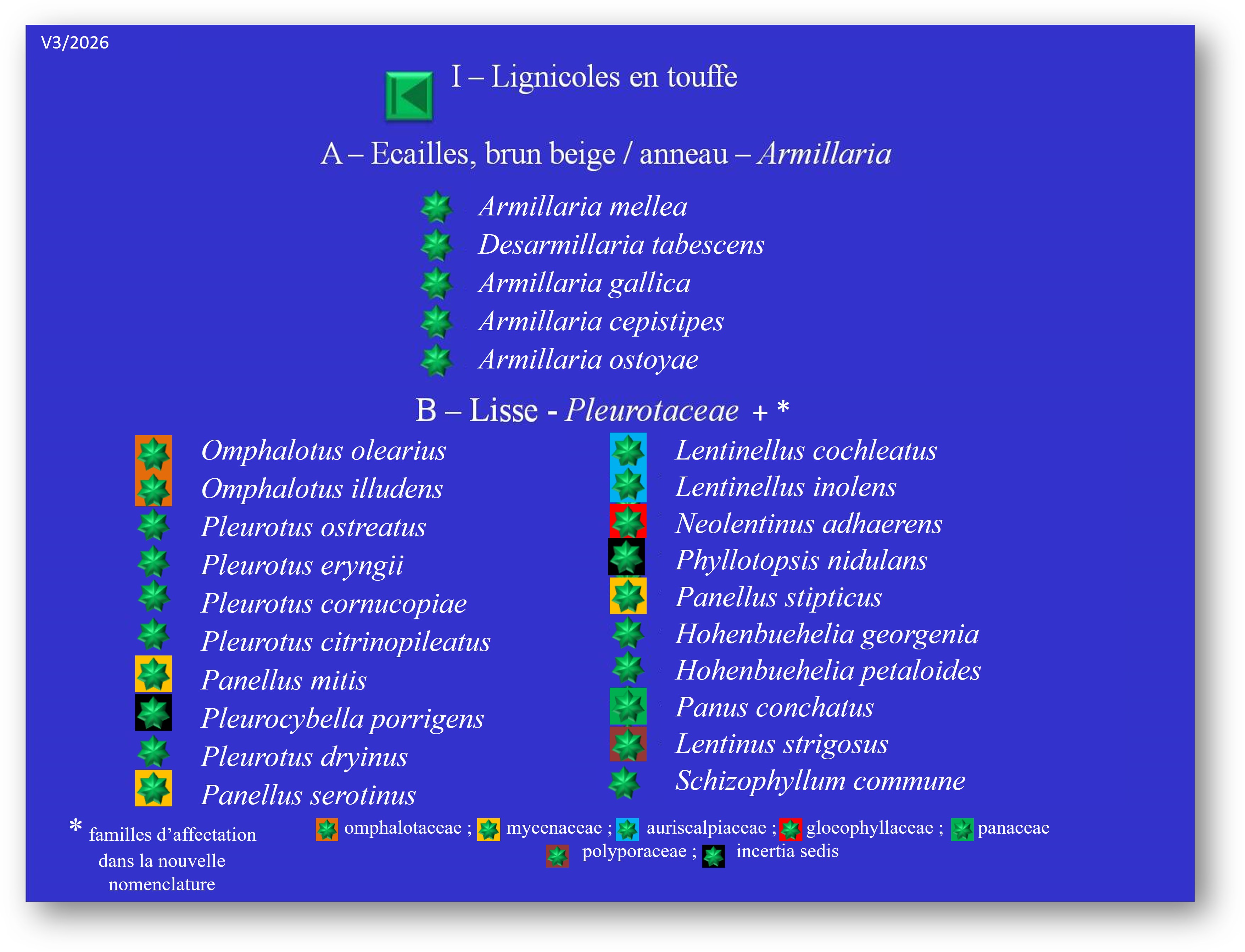 Lignicoles en touffe - Listes I-A et I-B: