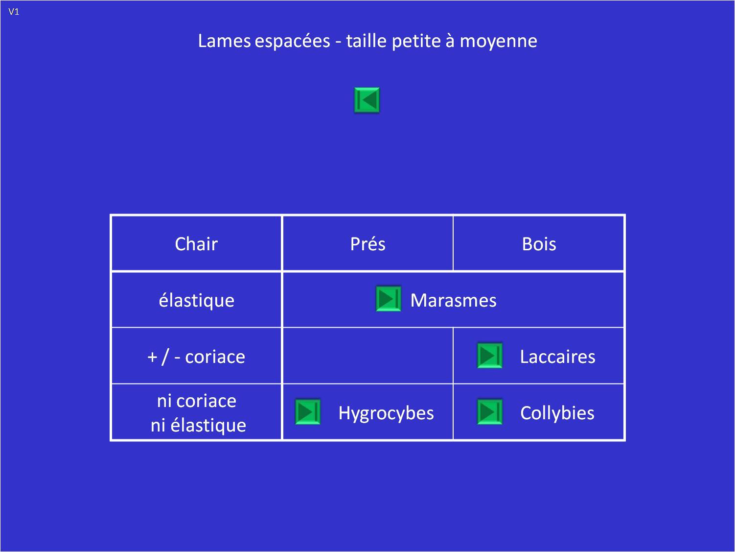 Tableau X: Entolomes