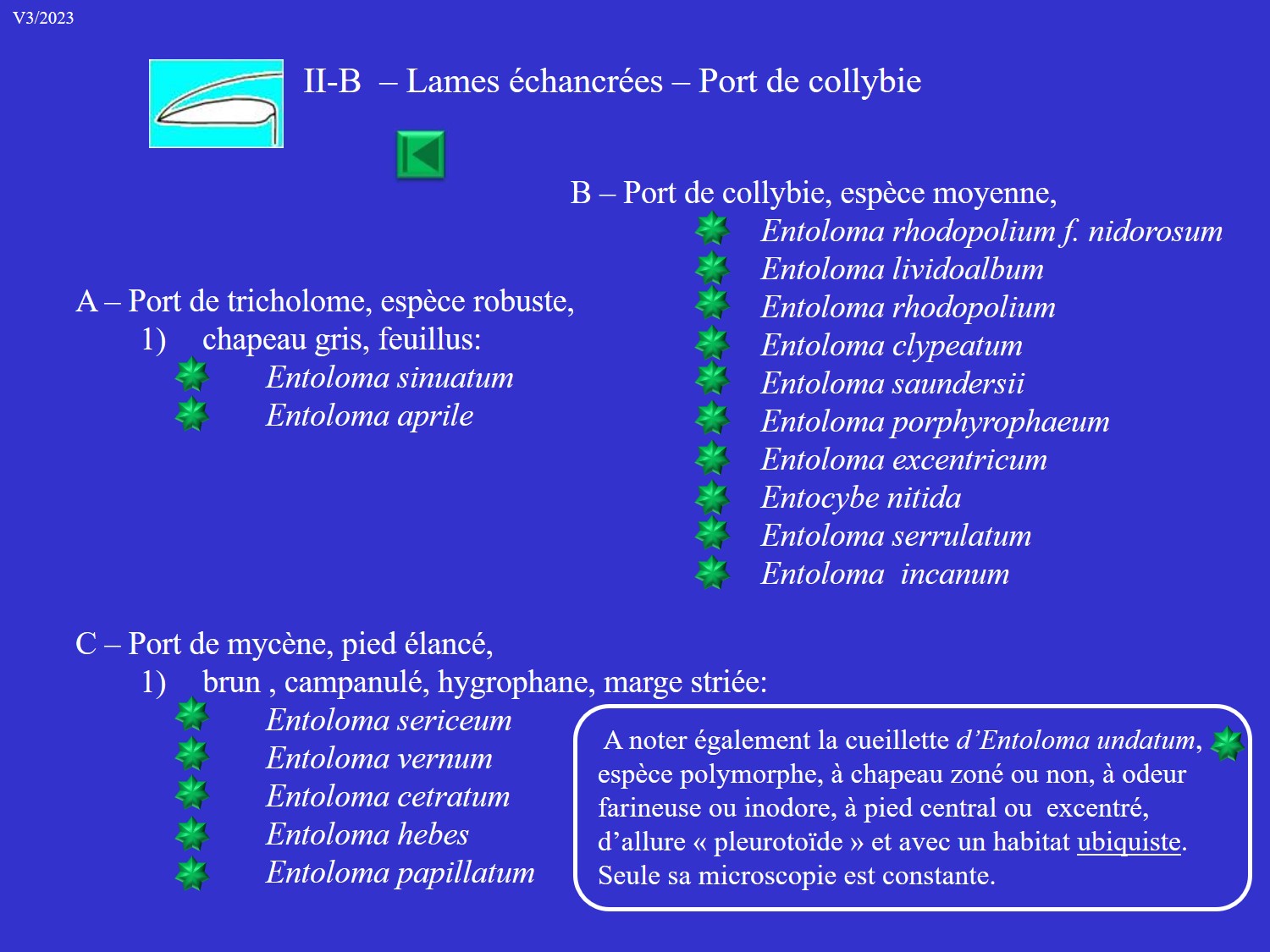 Entolomes