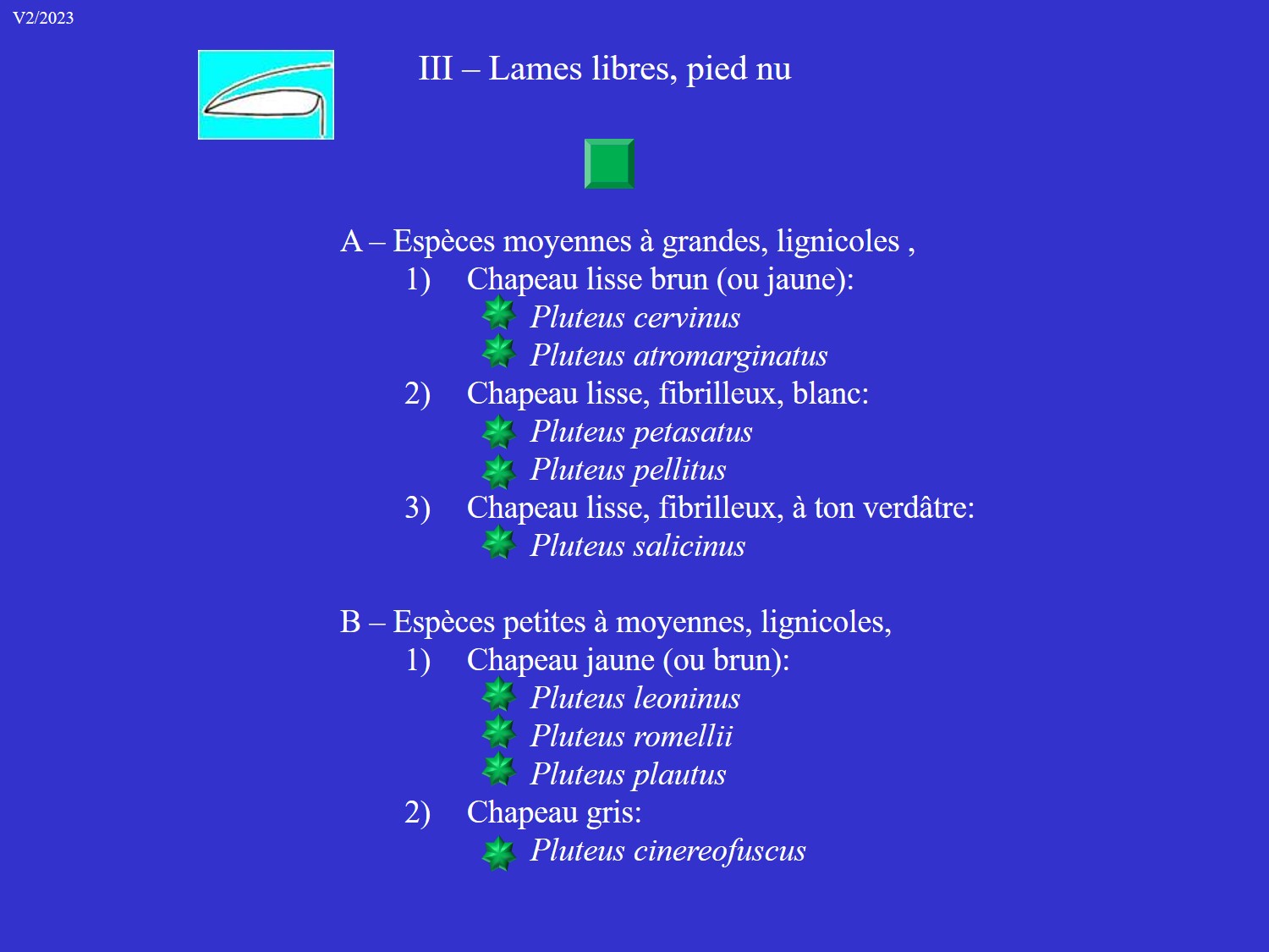 Plutées