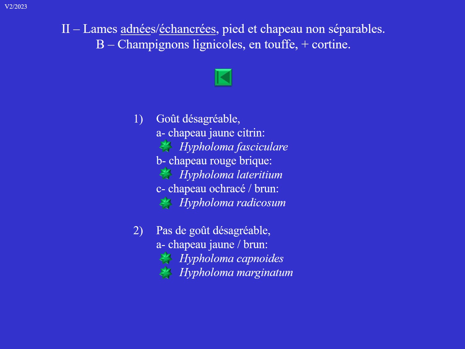 Strophaires et Psilocybe