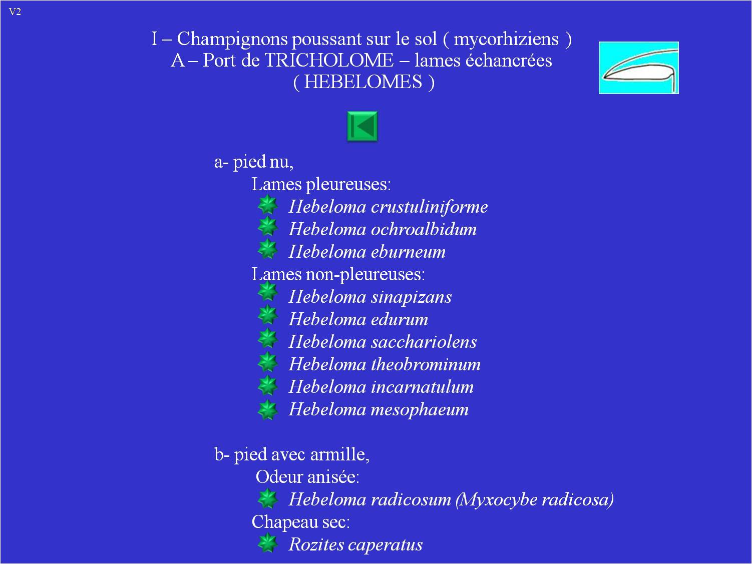 Hebelomes