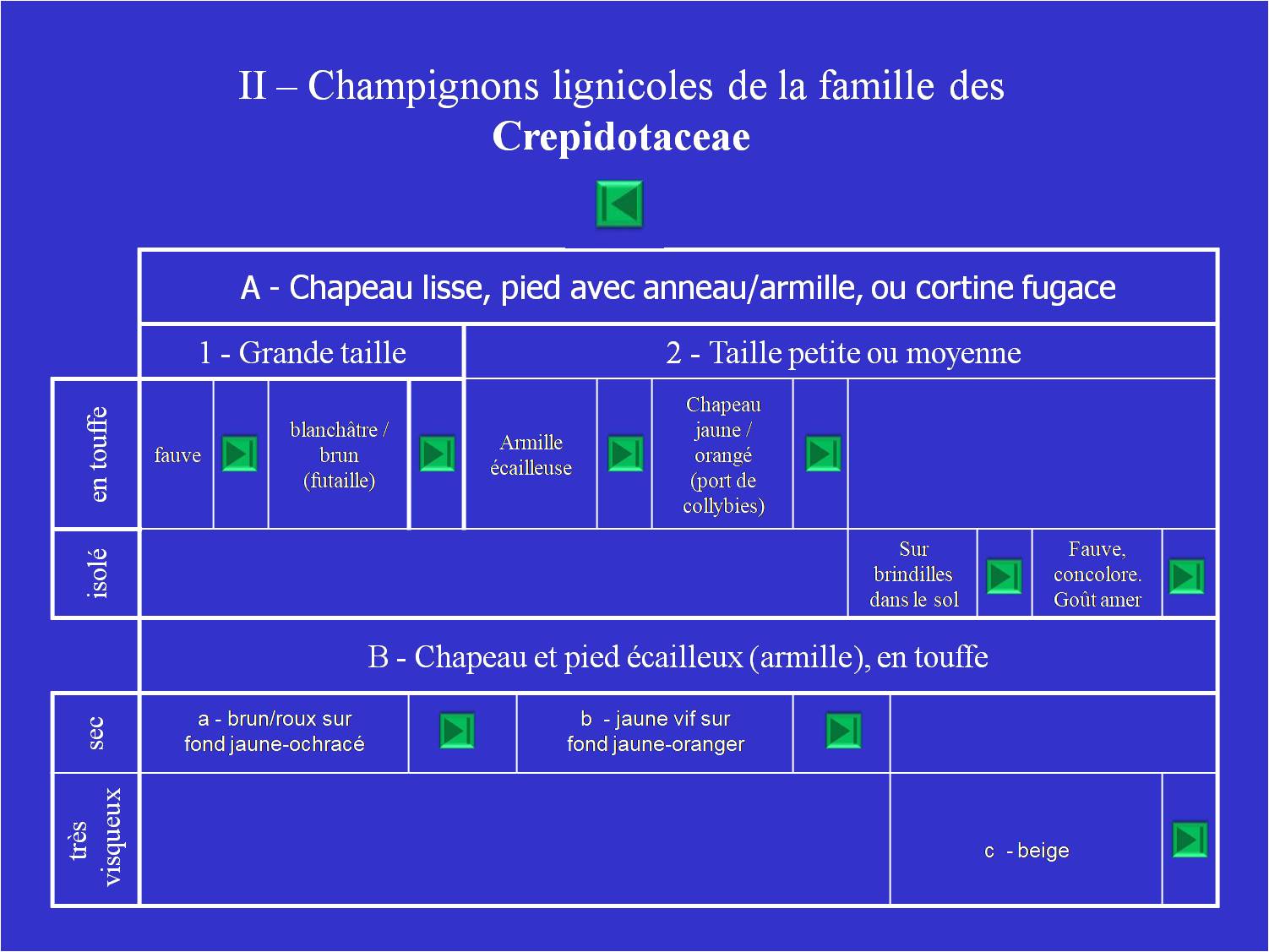 sporée ocre-rouille - mycorhiziens